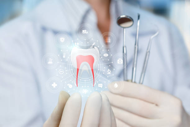 Professional  Holistic Dental Services in Marion, TX